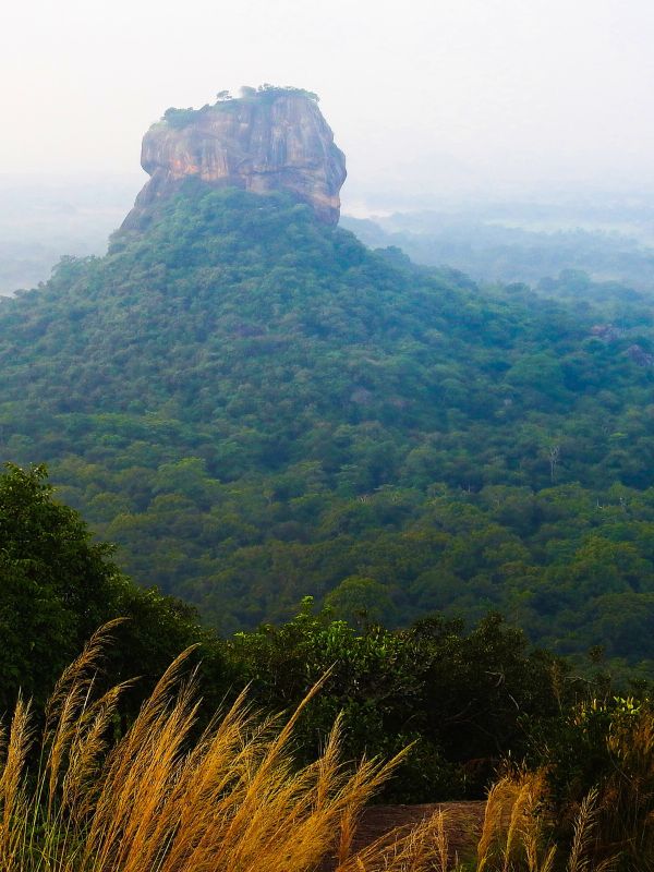 Sigiriya Rock Fortress Backdrop