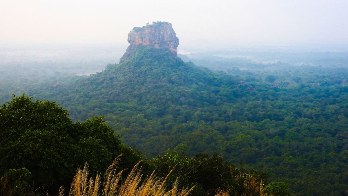 Sigiriya Rock & Dambulla Cave Temple Express Day Tour (1 Day)